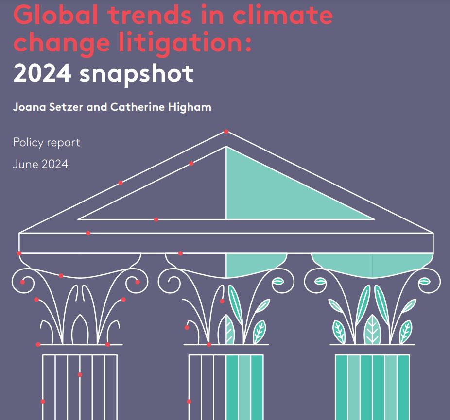 Snapshot of Climate Change Litigation